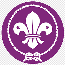 Scouts logo